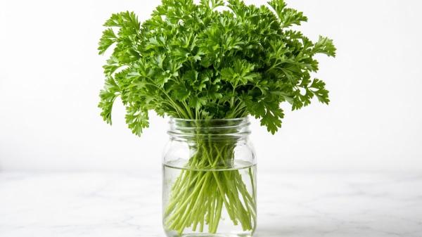 Si guardas el perejil de esta manera, te durará fresco varias semanas: "Colócalo en agua como si fuera un ramo de flores" - El truco más sencillo y efectivo para conservar el perejil fresco durante semanas