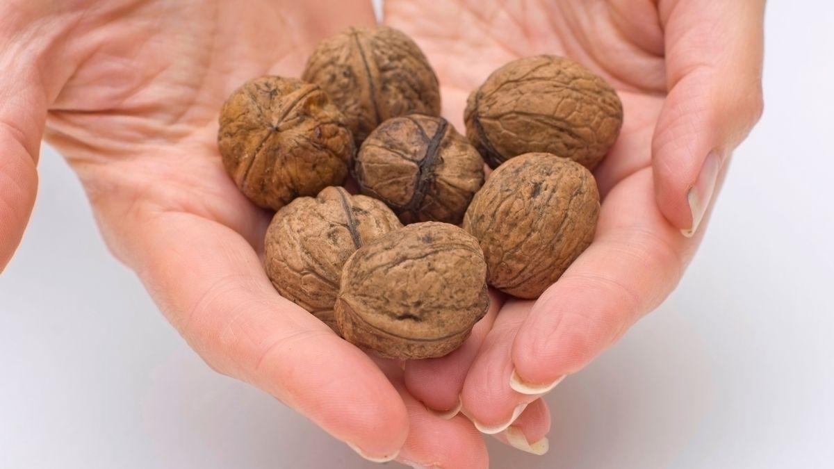 Aurelio Rojas, cardiólogo: “Comer entre 6 y 8 nueces al día puede reducir hasta un 30 % el riesgo de infarto”