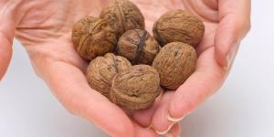 Aurelio Rojas, cardiólogo: “Comer entre 6 y 8 nueces al día puede reducir hasta un 30 % el riesgo de infarto”