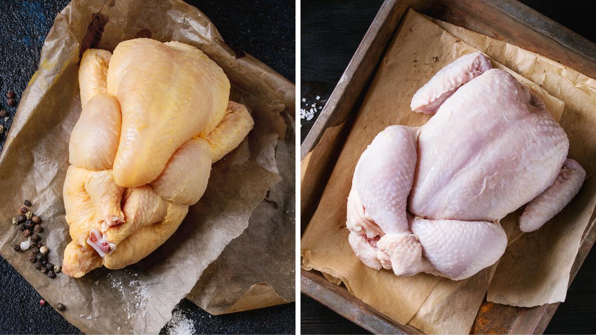 Carlos Porta, ganadero: “Que no os engañen; el color blanco o amarillo de la piel del pollo no depende de su calidad, sino de su alimentación y su genética”