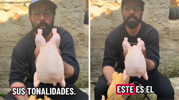 Carlos Porta, ganadero: “Que no os engañen; el color blanco o amarillo de la piel del pollo no depende de su calidad, sino de su alimentación y su genética” - El color del pollo puede engañarte: ni el blanco ni el amarillo indican por sí solos su calidad