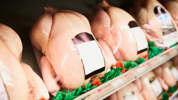 Carlos Porta, ganadero: “Que no os engañen; el color blanco o amarillo de la piel del pollo no depende de su calidad, sino de su alimentación y su genética” - Qué mirar en la etiqueta del pollo antes de comprarlo