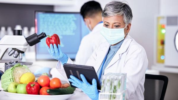 La Unión Europea lanza una IA que detecta alimentos contaminados antes de llegar a tu mesa