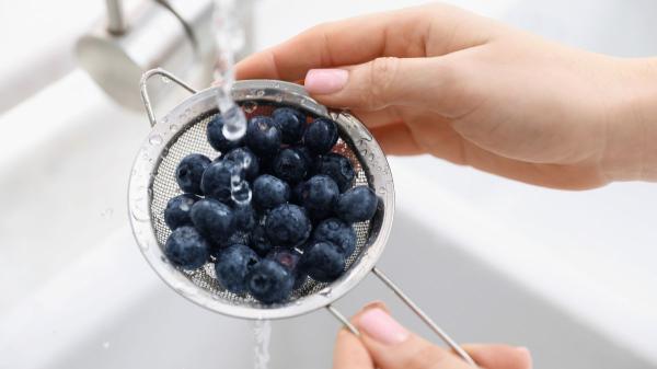 Miguel Ángel Lurueña, tecnólogo de alimentos: “Para comprar los mejores arándanos, elige los que tengan la capa blanquecina intacta y evita los más lisos y brillantes” - Cómo lavar y conservar correctamente los arándanos en casa