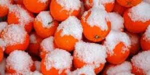 Receta de Naranjas nevadas