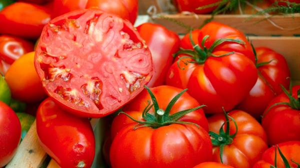 Ni gazpacho ni salmorejo: en Cádiz preparan una de las mejores sopas frías con tomate del verano - La clave de un buen arranque roteño está en la calidad del tomate