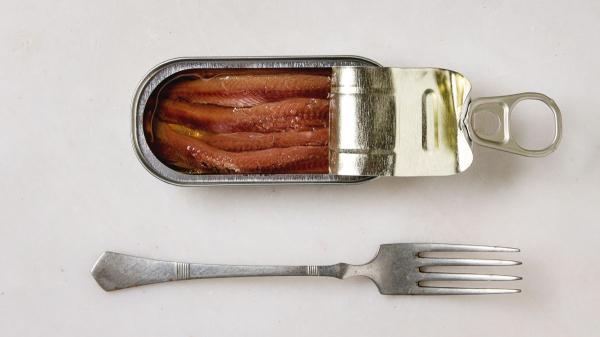 Los expertos en alimentación advierten: “Guardar las anchoas en lata en la despensa es un error, su sitio está en la nevera” - Esta es la mejor manera de guardar las anchoas que sobran