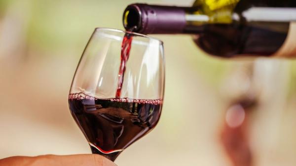 Beber vino con moderación dentro de la dieta mediterránea puede beneficiar tu salud, según un estudio de la Universidad de Navarra - Por qué la moderación es la clave