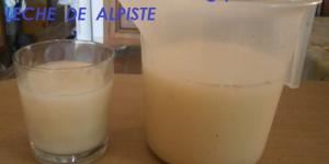 LECHE DE ALPISTE