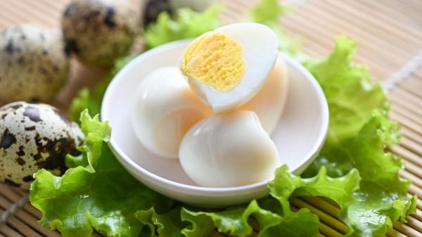 Sí a comer huevo a diario, menos carne roja y más pescado: así son las nuevas recomendaciones de la Sociedad Española de Nutrición Comunitaria - El huevo dejar de estar en el punto de mira