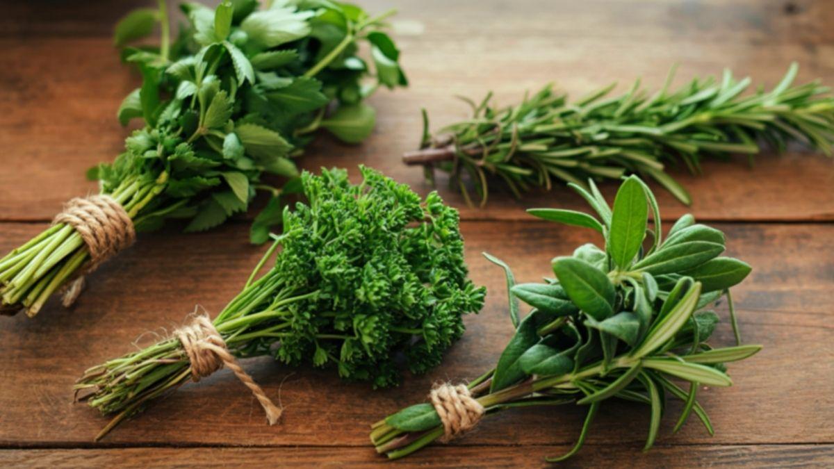 Finas hierbas: Cuáles son y cómo usarlas para dar sabor a tus platos diarios