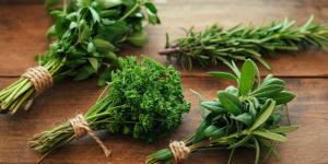Finas hierbas: Cuáles son y cómo usarlas para dar sabor a tus platos diarios