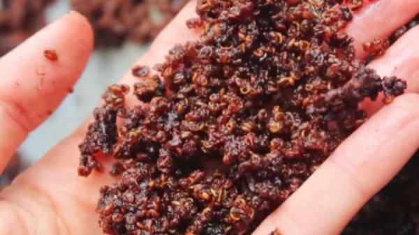 Marta Verona, nutricionista y chef: ''Estos chococrispis saludables no tienen absolutamente nada que envidiar a los de toda la vida'' - La receta de los chococrispis caseros saludables