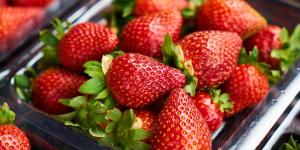 Mejora tu memoria después de los 55: estas tres frutas no pueden faltar en tu dieta según la ciencia