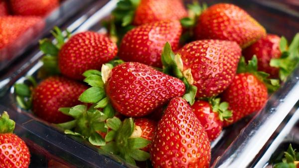 Mejora tu memoria después de los 55: estas tres frutas no pueden faltar en tu dieta según la ciencia