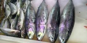 Receta de Sardinas albardadas a la vinagreta
