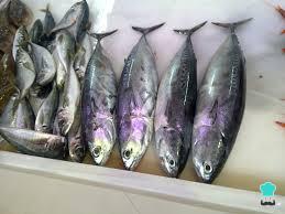Receta de Sardinas albardadas a la vinagreta
