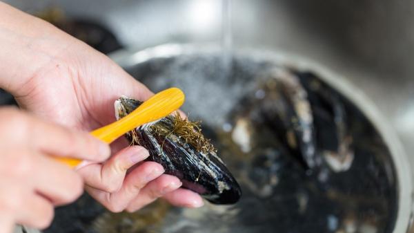 Detectan bacterias en dos lotes de mejillones españoles: cinco errores que conviene evitar si no quieres intoxicarte - Cinco errores que puedes cometer con los mejillones