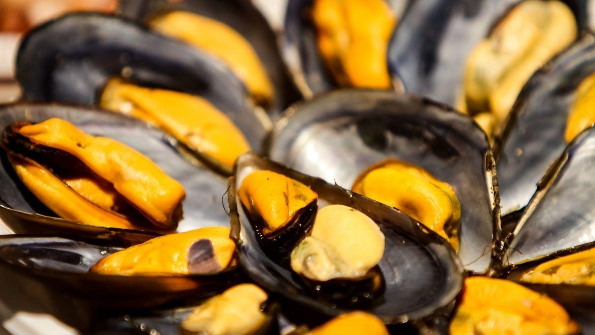 Detectan bacterias en dos lotes de mejillones españoles: cinco errores que conviene evitar si no quieres intoxicarte