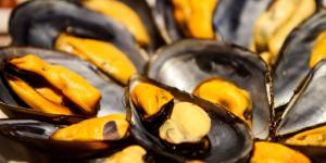Detectan bacterias en dos lotes de mejillones españoles: cinco errores que conviene evitar si no quieres intoxicarte