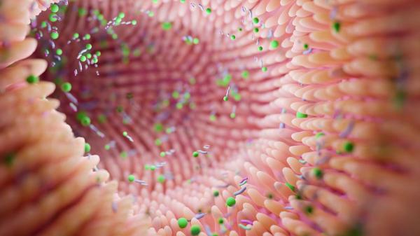 Chaysavanh Manichanh, experta en microbiota: “El café reduce la inflamación y es bueno para las bacterias intestinales” - El café también influye en las bacterias del intestino y la ciencia explica por qué