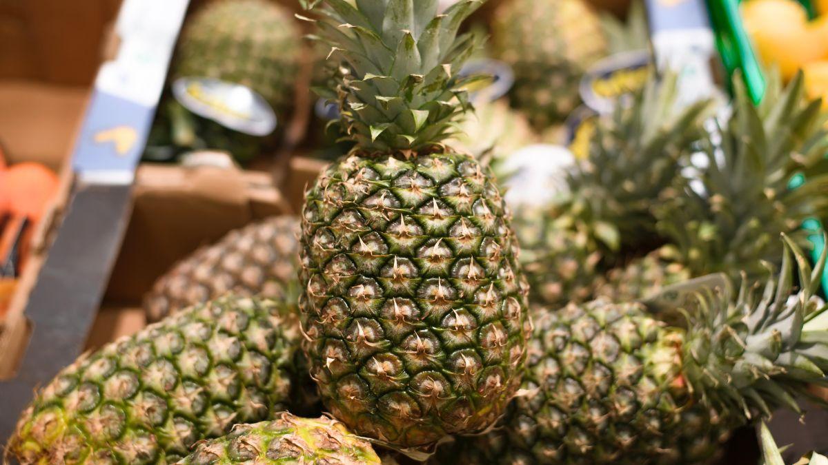 Rubén García, nutricionista, sobre elegir la mejor piña: “Si al tirar de una hoja sale fácil, está madura; si no, aún le faltan días”
