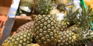 Rubén García, nutricionista, sobre elegir la mejor piña: “Si al tirar de una hoja sale fácil, está madura; si no, aún le faltan días”