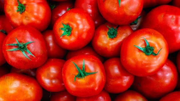 Jordi Cruz, chef: “Si un tomate no huele, no tiene sabor. Tiene que tener aroma, peso y la piel tensa” - Cómo debe ser un tomate perfecto, según Jordi Cruz