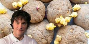 Jordi Cruz, chef: “No comas las patatas cuando están arrugadas y tienen brotes tan grandes, pueden tener solanina y ser perjudiciales”