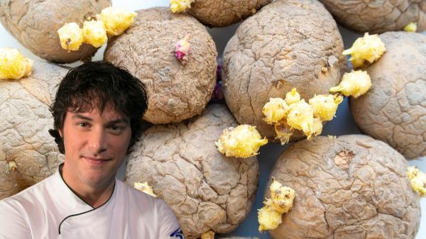 Jordi Cruz, chef: “No comas las patatas cuando están arrugadas y tienen brotes tan grandes, pueden tener solanina y ser perjudiciales”