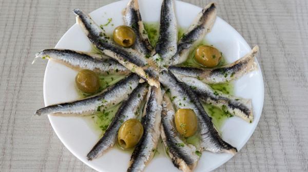 Santiago González, tecnólogo de alimentos: “Todos los pescados del mar pueden tener anisakis, para eliminarlo hay que congelarlo antes o cocinar bien la ventresca” - Los pescados más afectados por anisakis en España