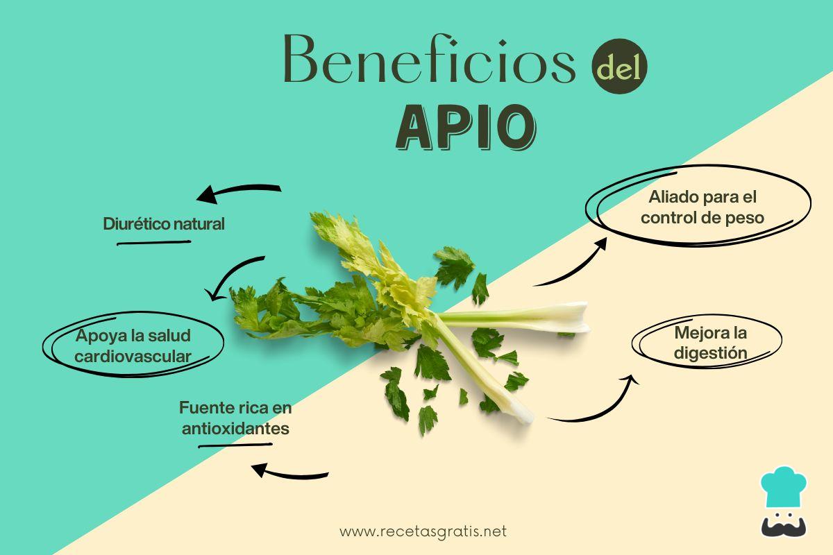 Propiedades y beneficios del apio