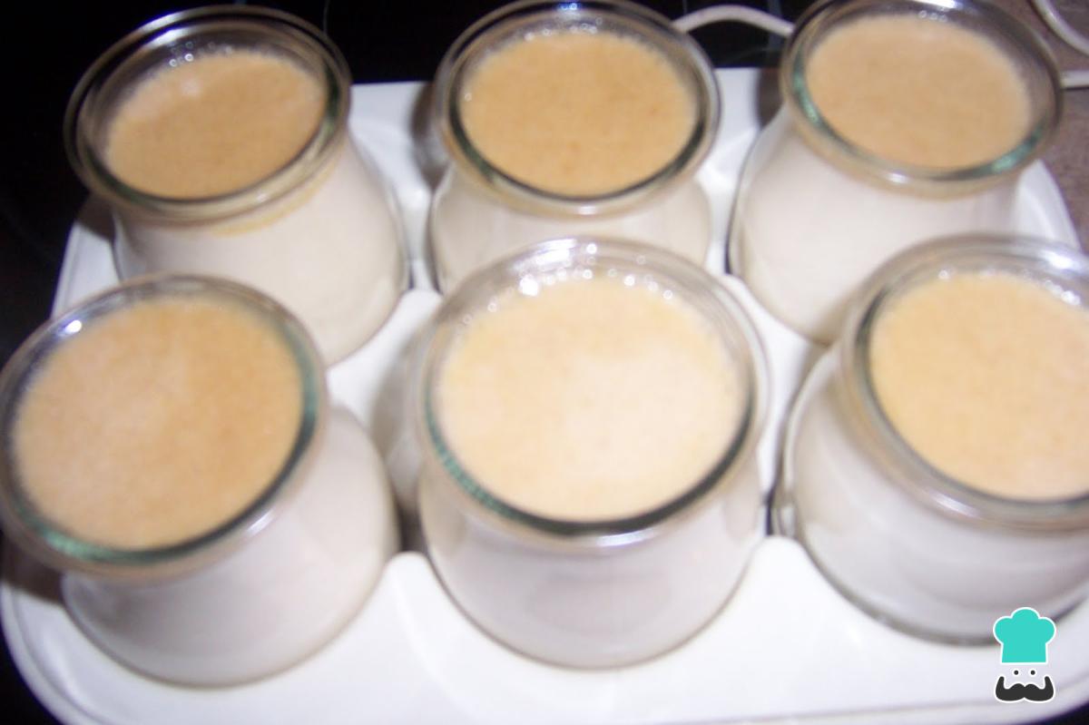 Receta de Yogurt casero sin yogurtera