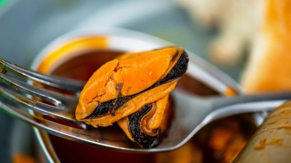 Jesús Sánchez, chef: “Los mejillones en lata con patatas están mucho más buenos con mayonesa, pimentón y un chorrito del escabeche” - Un aperitivo en 30 segundos para chuparse los dedos