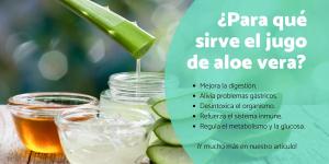 Jugo de aloe vera - Para qué sirve