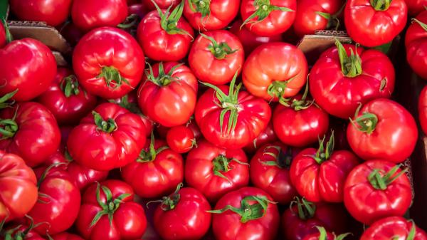 Los andaluces preparan la ensalada perfecta para combatir el calor con tomate, pimiento verde, cebolla, huevo duro y aceite de oliva - El secreto que convierte una pipirrana sencilla en una receta llena de sabor