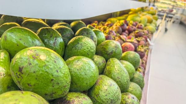 España depende cada vez más de fruta importada: el cambio en el consumo de aguacate, sandía y uva - Aguacate, sandía y uva: por qué España no cubre toda su demanda