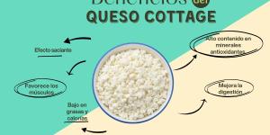 ¿Qué es el queso cottage?