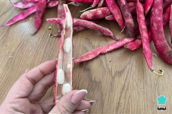 Receta de Porotos granados a la chilena - Paso 1
