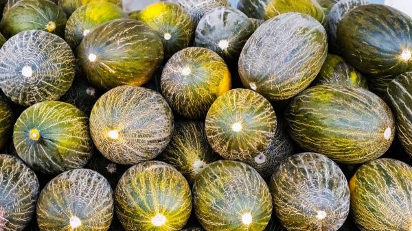 Júlia Farré, nutricionista: “Para elegir el melón más dulce, fíjate en el peso, la mancha amarilla y si es macho o hembra” - La mancha amarilla como indicador de dulzor