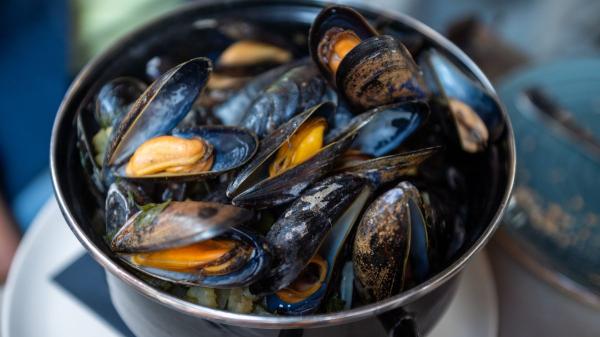 Los chefs gallegos coinciden: “Los mejillones al vapor mejoran si usas muy poca agua y no los amontonas en la olla” - El mejillón no necesita hervirse, necesita vapor