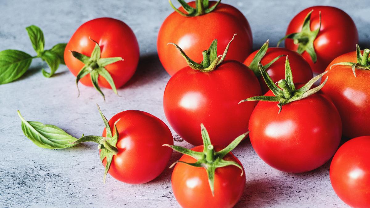Ni todos a la nevera ni todos fuera: así debes conservar los tomates según estén verdes, maduros o cortados