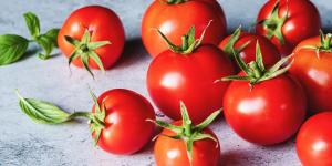 Ni todos a la nevera ni todos fuera: así debes conservar los tomates según estén verdes, maduros o cortados