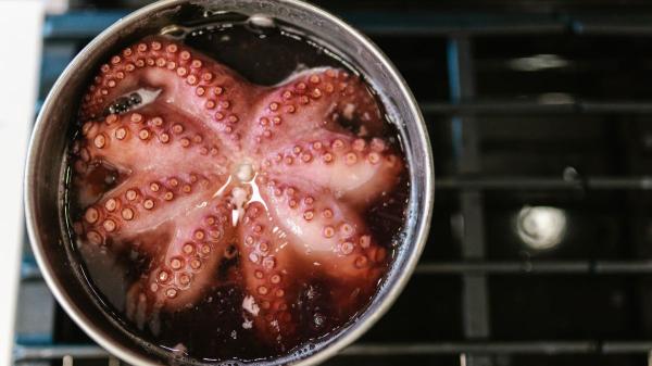 Los mejores chefs españoles coinciden: “El pulpo queda más tierno y sabroso si lo cueces 30 minutos por kilo y añades una hoja de laurel” - La regla que evita que el pulpo quede duro, según los chefs