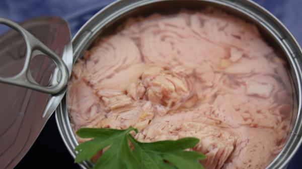 La advertencia de Manuel Viso, médico, sobre el atún en lata: "El consumo excesivo puede tener efectos negativos, más aún en niños y embarazadas" - Por qué comer atún a diario no es una buena opción según Manuel Viso