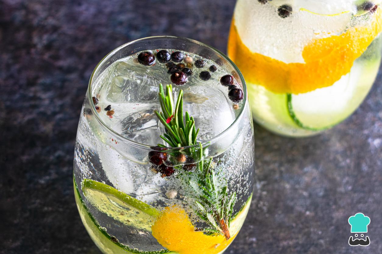 Cómo preparar GIN TONICS 10 recetas FÁCILES