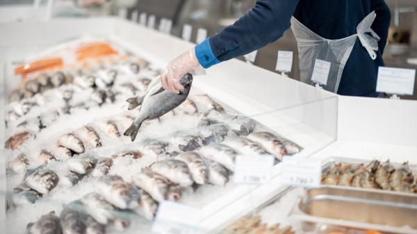 José María Sánchez, pescadero: “La mitad del pescado se vende en el supermercado y no es porque sea mejor” - La ventaja de elegir el pescado según la receta que queremos cocinar