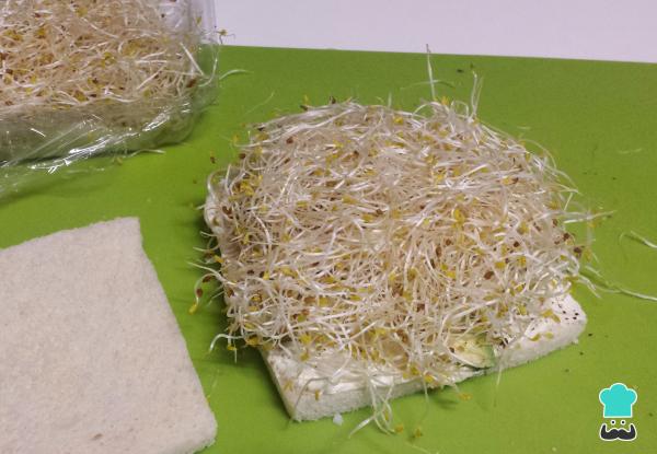 Paso de Preparacion numero 4