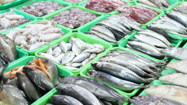 José Antonio Oñate, pescadero: "El lunes sí puedes comprar pescado, pero suele venir de Noruega, Dinamarca o Chile; el mejor día para comprar pescado nacional es el miércoles" - Qué pescado compras realmente un lunes y por qué el miércoles suele ser mejor