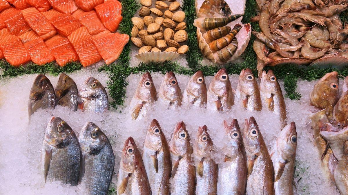 Uno de cada cinco pescados que compras no es lo que dice la etiqueta, según el último informe de la ONU